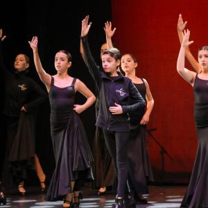 Fotografía de Talleres Baile Flamenco (galería 2) - Conservatorio de Danza